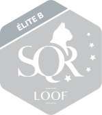 logo SQR élite B gris